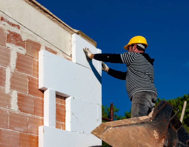 Best Fiberglass Insulation  in Krugerville, TX