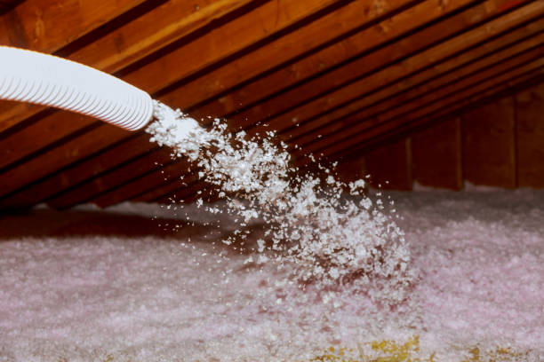 Best Insulation Contractors for Homes  in Krugerville, TX