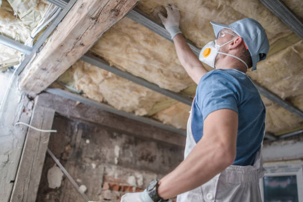 Best Home Insulation Services  in Krugerville, TX