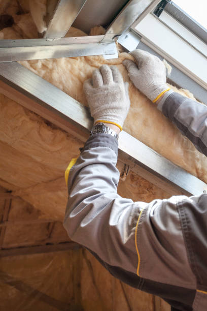 Best Local Insulation Services  in Krugerville, TX