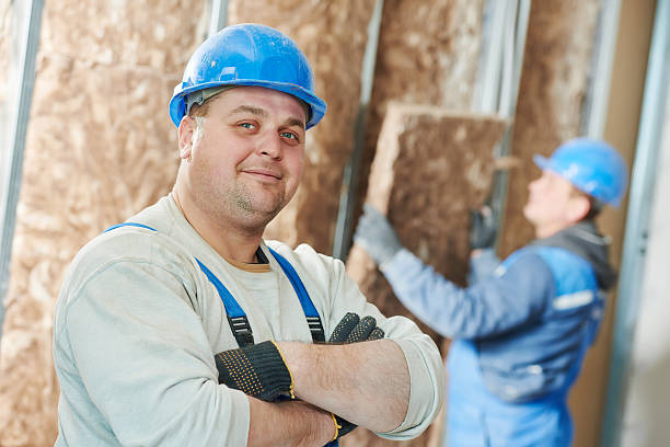 Best Insulation Replacement Services  in Krugerville, TX