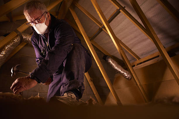 Best Best Insulation Companies  in Krugerville, TX